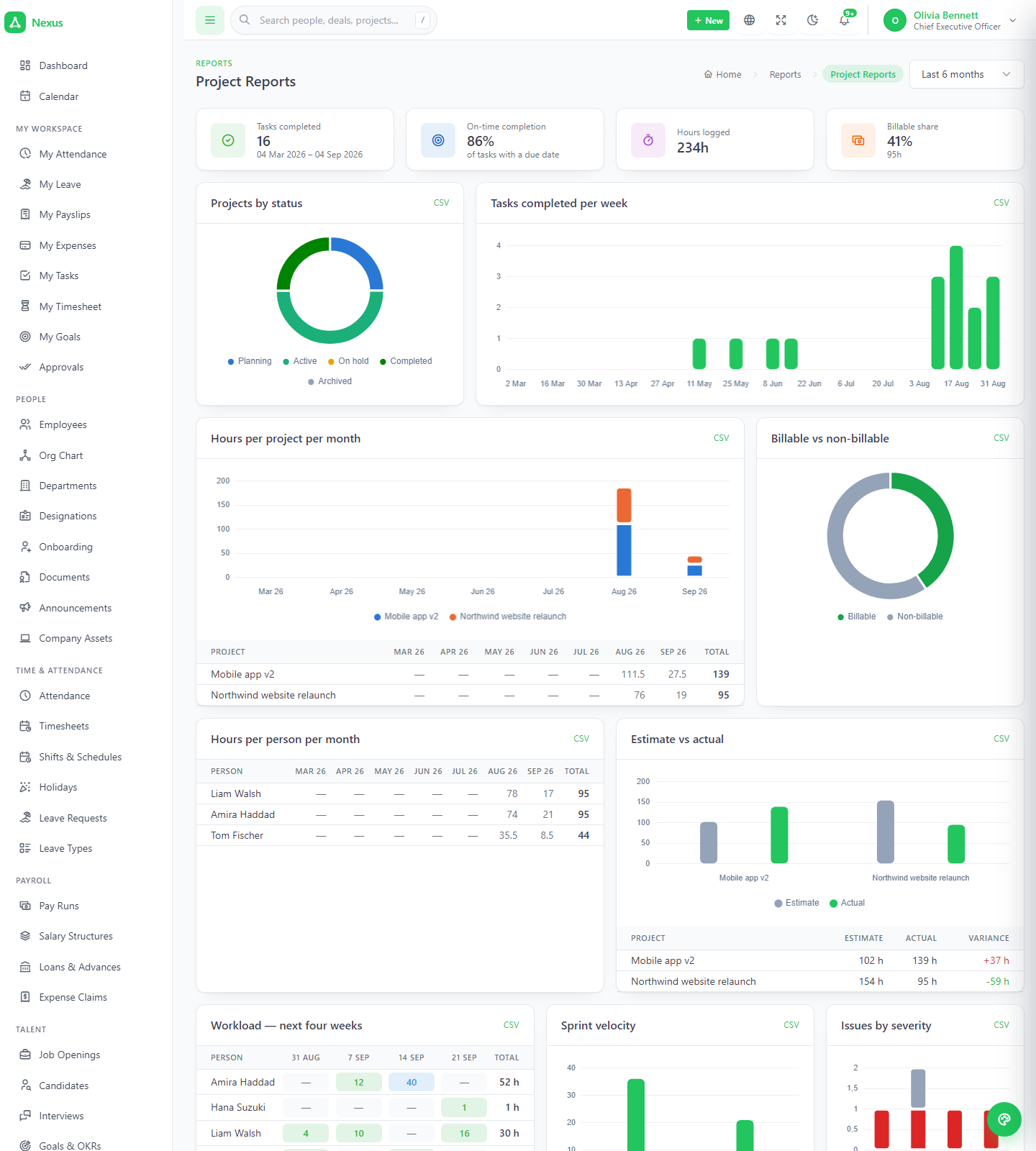 Project reports